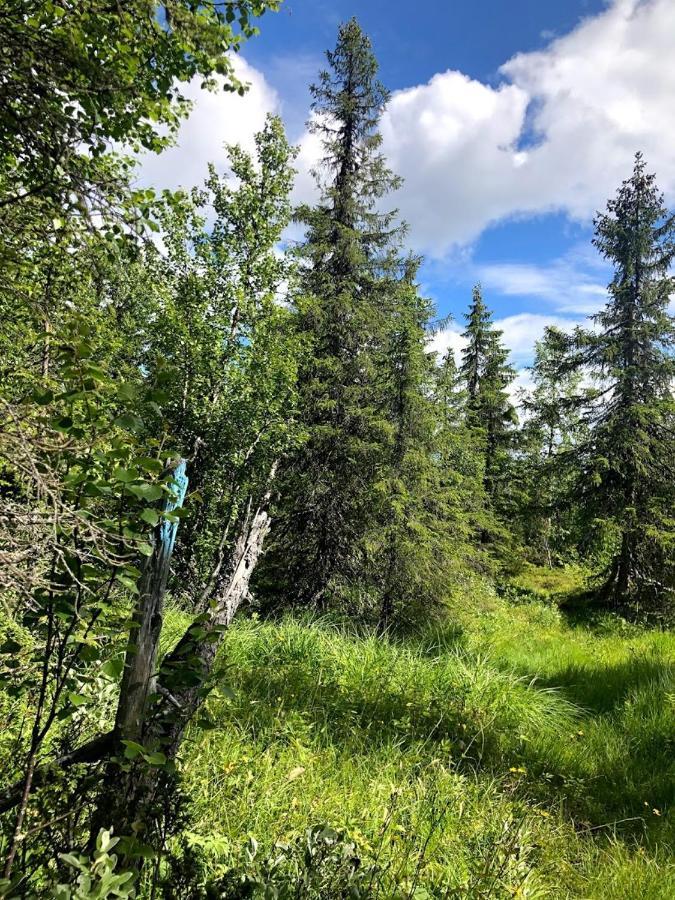 Hos Blafjelldal, Bagn I Valdres Bed & Breakfast ภายนอก รูปภาพ
